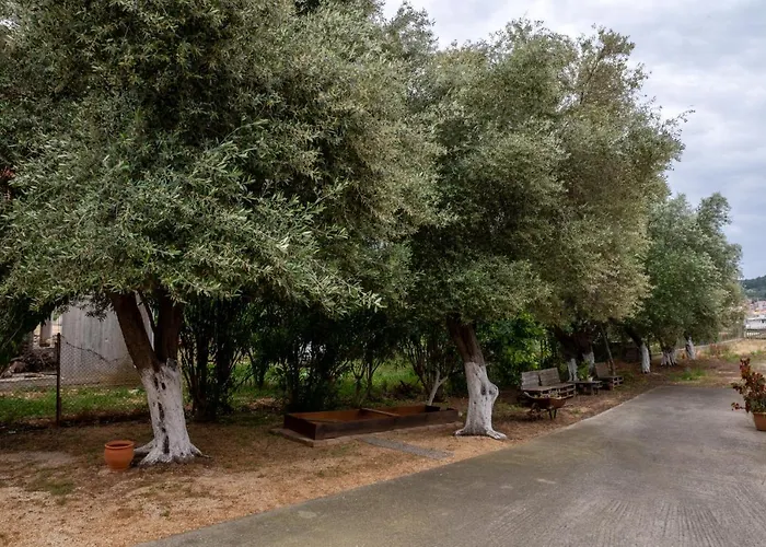 Lägenhet De Bosset *